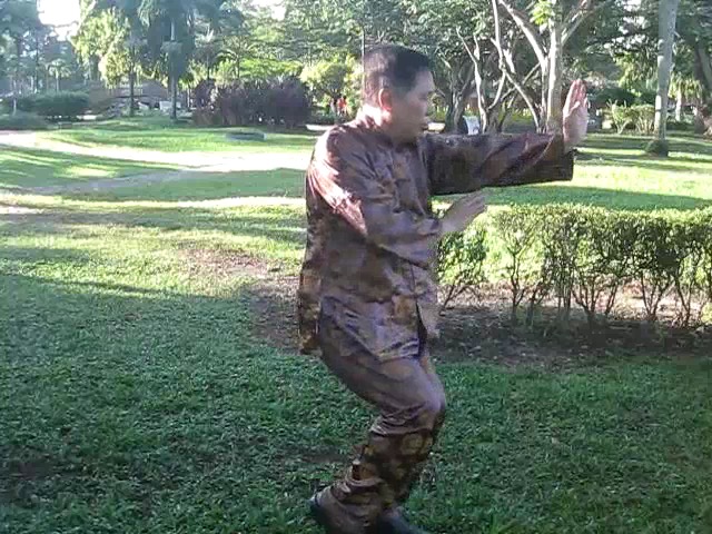 Sun Style Taijiquan